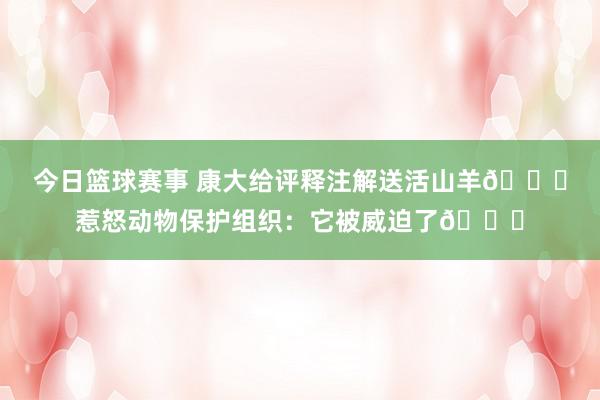 今日篮球赛事 康大给评释注解送活山羊🐐惹怒动物保护组织：它被威迫了😓