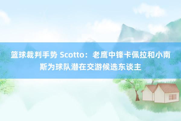 篮球裁判手势 Scotto：老鹰中锋卡佩拉和小南斯为球队潜在交游候选东谈主